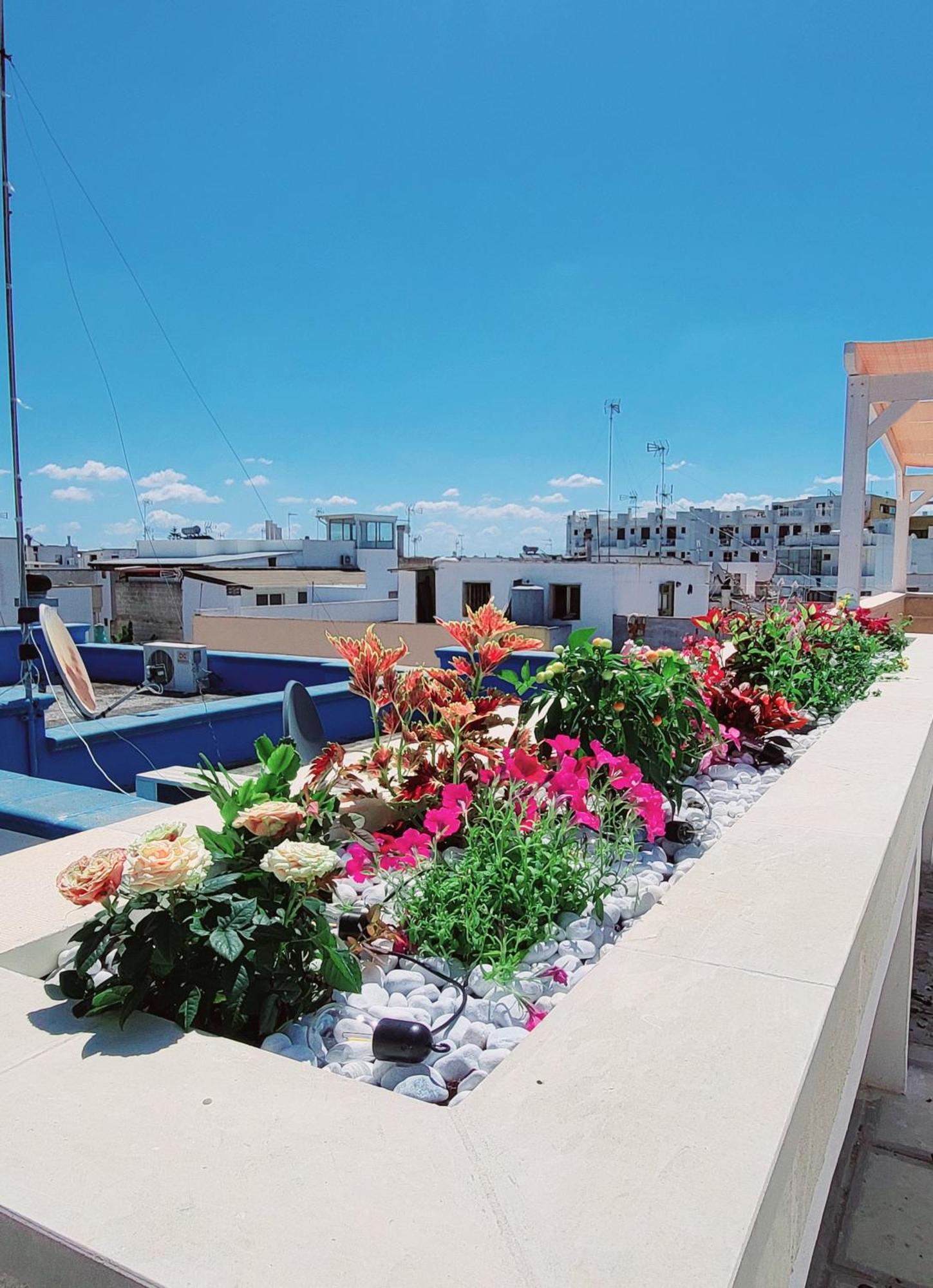 Aquamarina Rooms Porto Cesareo Exterior photo